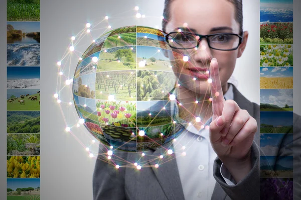 Businesswoman pressing virtual button on nature collage