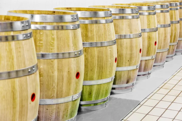 Cellar with barrels for storage of wine, Italy