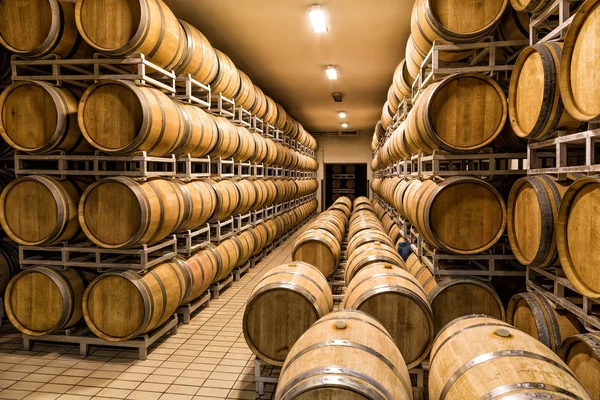 Cellar with barrels for storage of wine, Italy