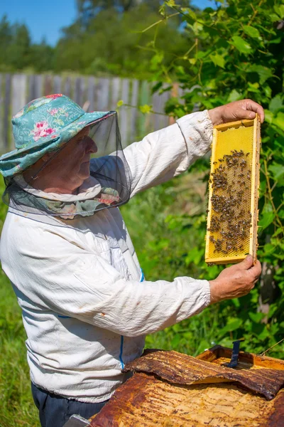 Beekeeper working in his apiary