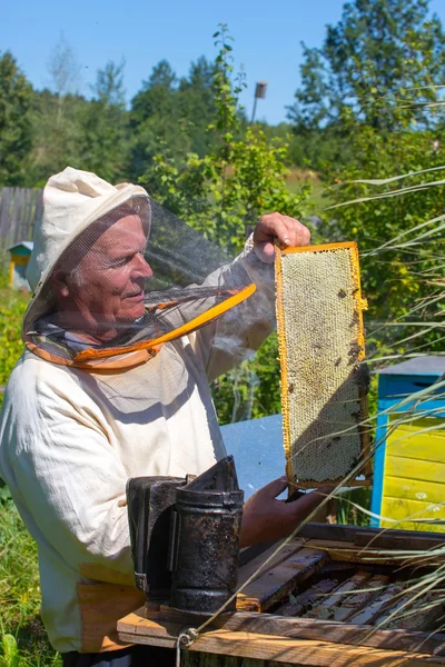 Man works on an apiary