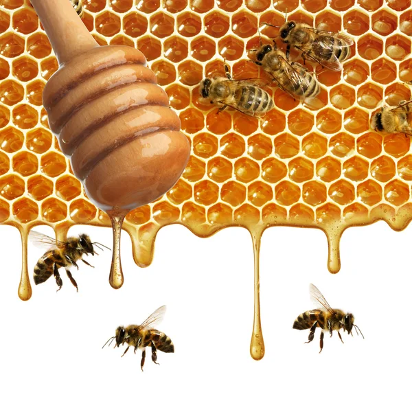 Flow of sweet honey and bees
