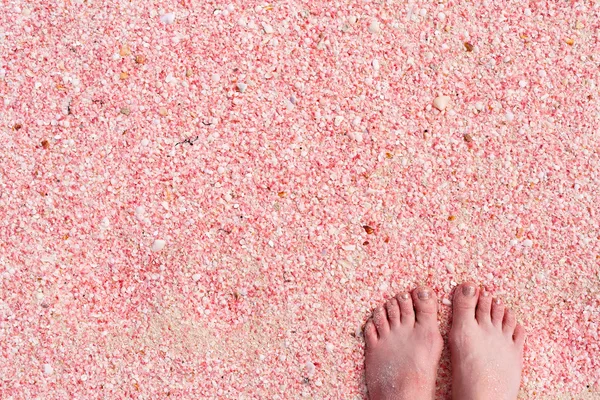 Barbuda pink sand beach