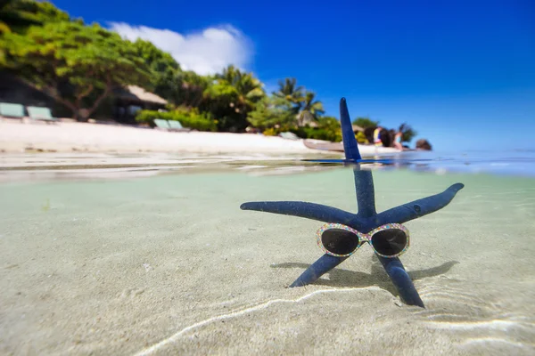 Blue starfish on tropical beach