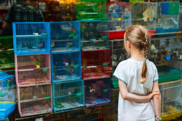 Girl at birds market