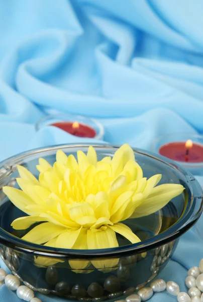 Flower in bowl and candles