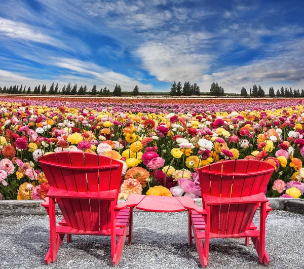 Two of bright plastic garden chairs