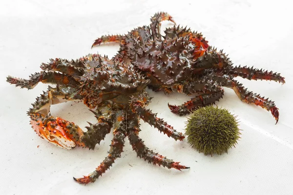 Freshly-Speared Kamchatka crabs and sea urchins on the deck of yacht.