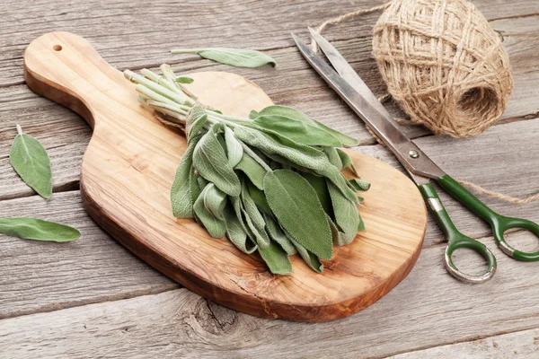 Bunch of garden sage herb