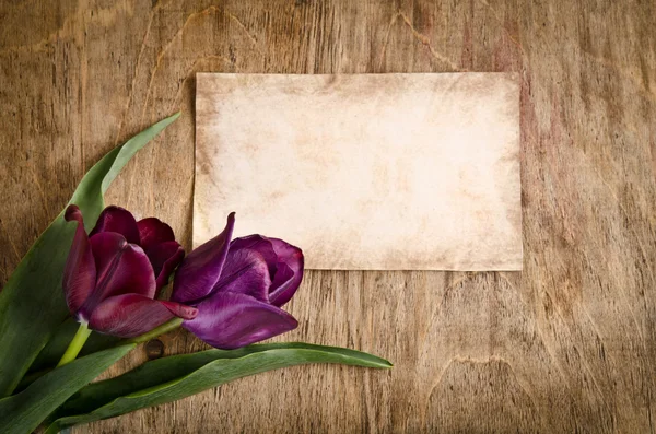 The old card and two fresh tulips from corner is lying on wooden