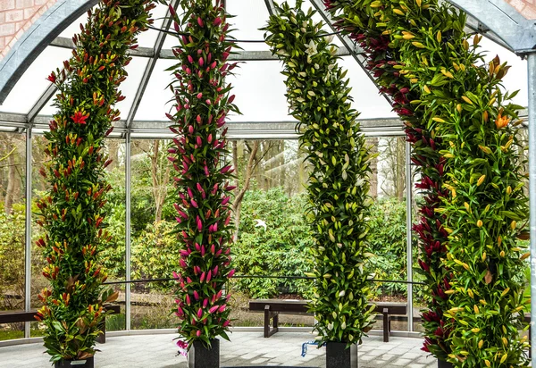 KEUKENHOF GARDEN, NETHERLANDS - MARCH 24: Flower greenhouse, floristic decor elements close-up. Keukenhof is the world\'s largest flower garden. Keukenhof Garden, Lisse, Netherlands - March 24, 2016.