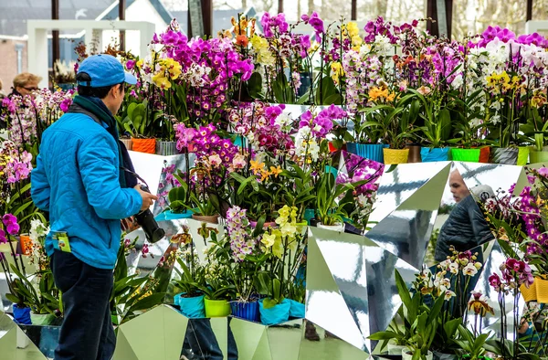 KEUKENHOF GARDEN, NETHERLANDS - MARCH 24: Flower greenhouse, floristic decor elements close-up. Keukenhof is the world's largest flower garden. Keukenhof Garden, Lisse, Netherlands - March 24, 2016.