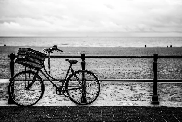 Old style bicycle with basket on coast of the North Sea in The Hague, Netherlands. Black-white photo.