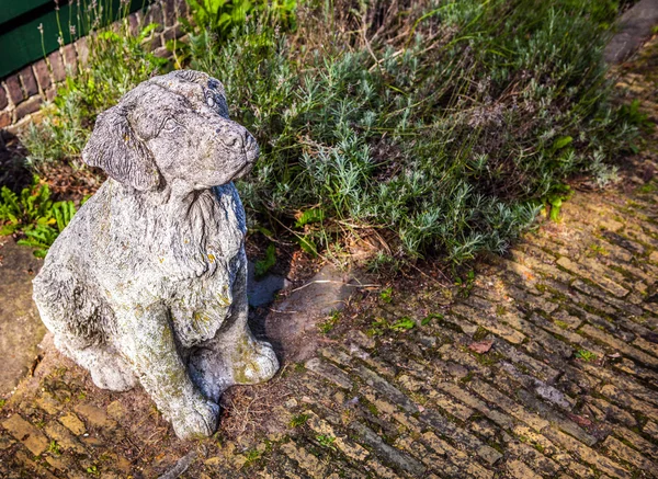 Marble Sitting Dog Statue in garden.