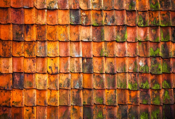 Classic weathered roof tiles as background.