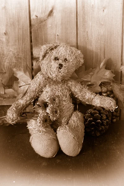 Rustic sepia toned teddy bear
