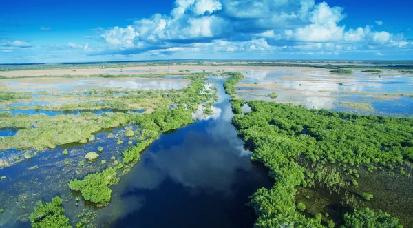 Aerial sunset view of Everglades swamp in Florida