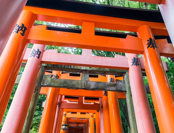 Red Tori Gate at Fushimi Inari Shrine in Kyoto, Japan