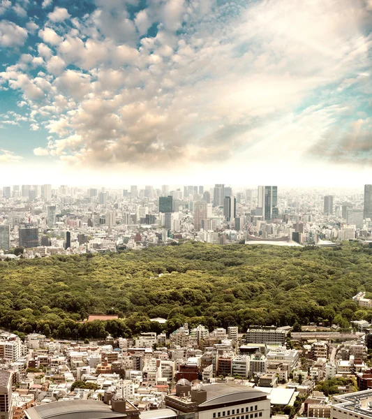 Tokyo, Japan. City park surrounded by skyscrapers