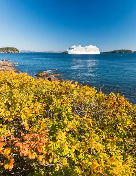 Cruise ship along Acadia National Park