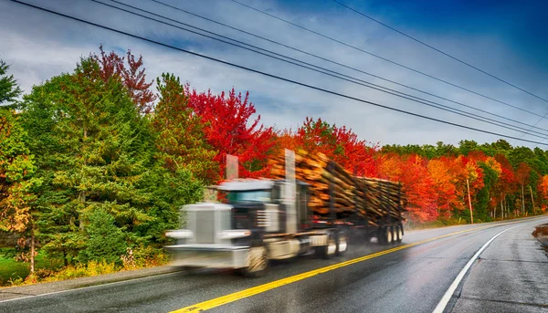 Fast moving truck along foliage road scenery