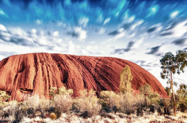 Australian Outback vegetation, Northern Territory