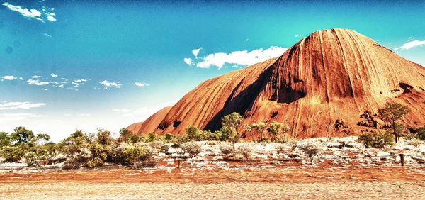 Australian Outback vegetation, Northern Territory