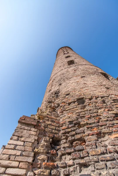 Ancient medieval brick tower against a blue sky