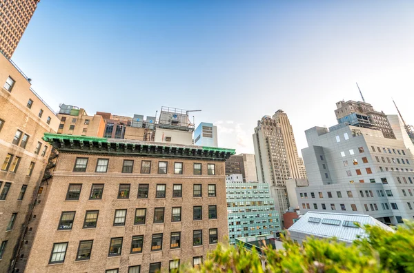 Buildings and roof garden in Manhattan.