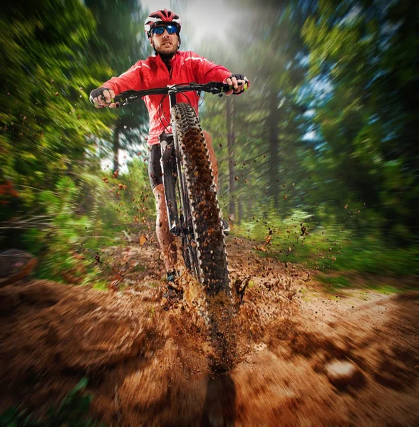 Extreme cyclist pedals in forest