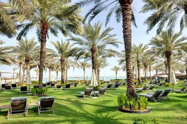 Sunbeds on the green lawn and palm tree shadows in luxury hotel, Dubai, UAE