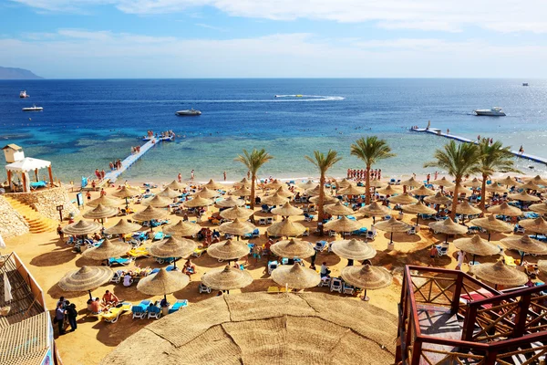 SHARM EL SHEIKH, EGYPT -  NOVEMBER 30: The tourists are on vacat