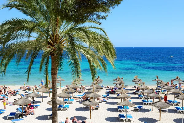 MALLORCA, SPAIN - MAY 28: The tourists enjoiying their vacation