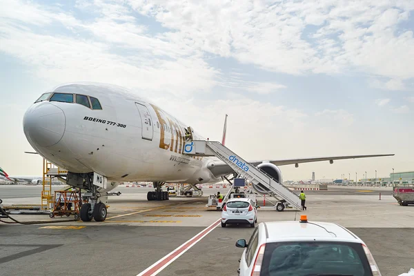 Jet aircraft docked in Dubai airport
