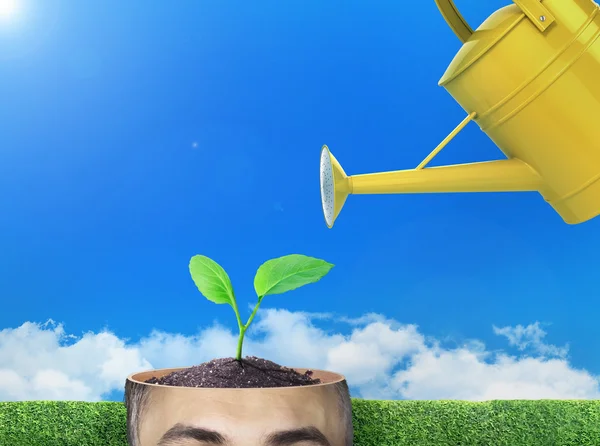 Concept of growth. Watering can waters a sprout in the cut of he