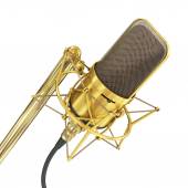 Gold Microphone — Stock Photo © JohanH #7194922