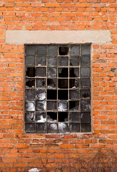 Brick wall , broken window
