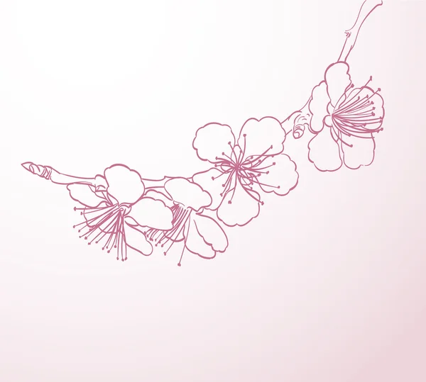 Blossoming tree flowers line art hand drawing. spring stylish ba