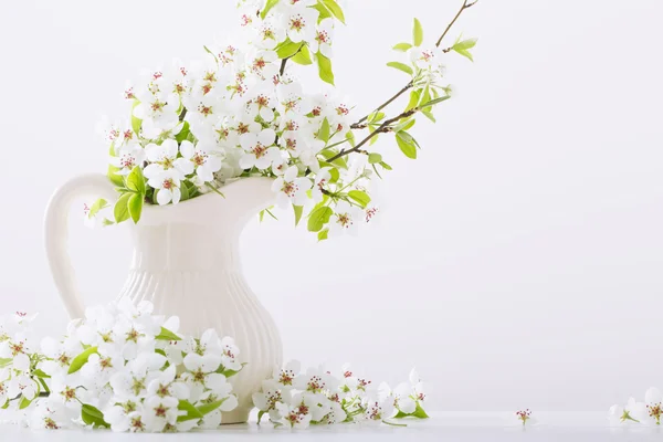 Spring white flowers on white background