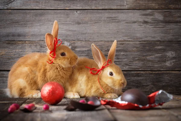 Rabbits with chocolate eggs on wooden background