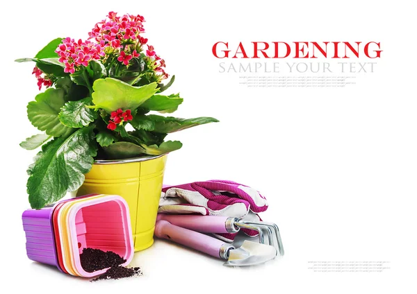 Garden tools with flowers