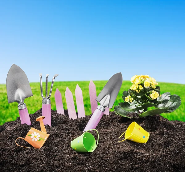 Flowers and tools in garden soil