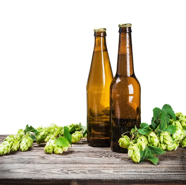 Bottles of beer and hop branches