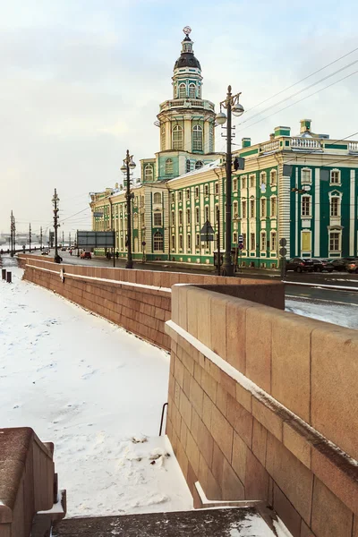 Cabinet of Curiosities in St. Petersburg