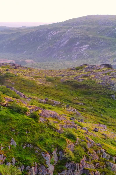 Mountain tundra in Lapland