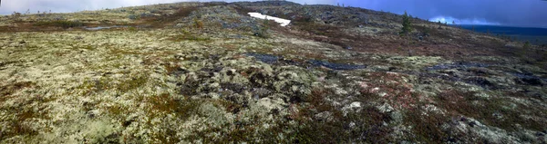 Mountain tundra panorama