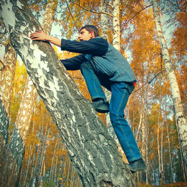 Teenager climb on the Tree - 图库照片sabphot