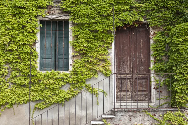 An old stone wall with a door, stairs, windows, overgrown with ivy. Italian village