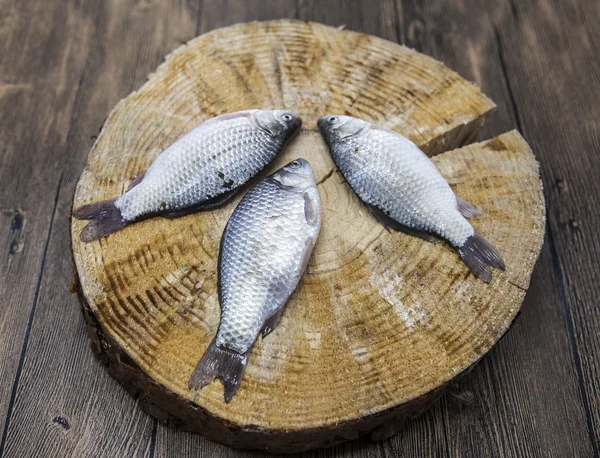Fresh raw fish carp caught lying on a wooden stump. Live fish crucian Carassius auratus gibelio.