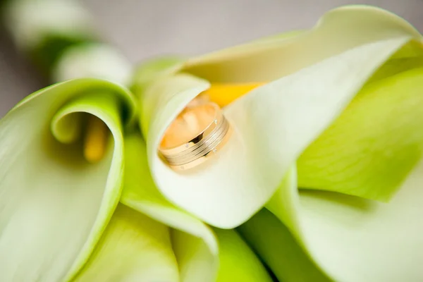 Two wedding rings in bouquet of Calla lilies
